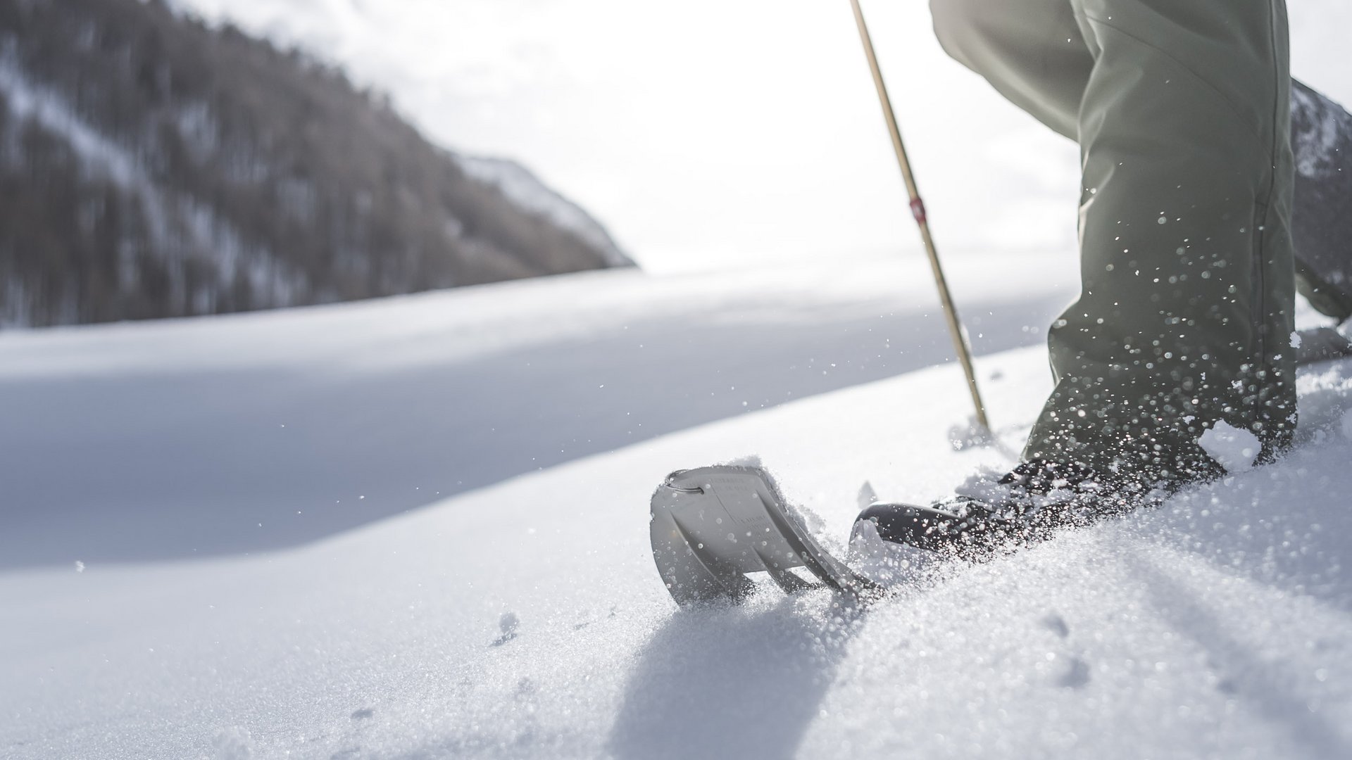 Winter hiking at Plan de Corones/Kronplatz Close-up of skis and poles in fresh powder snow