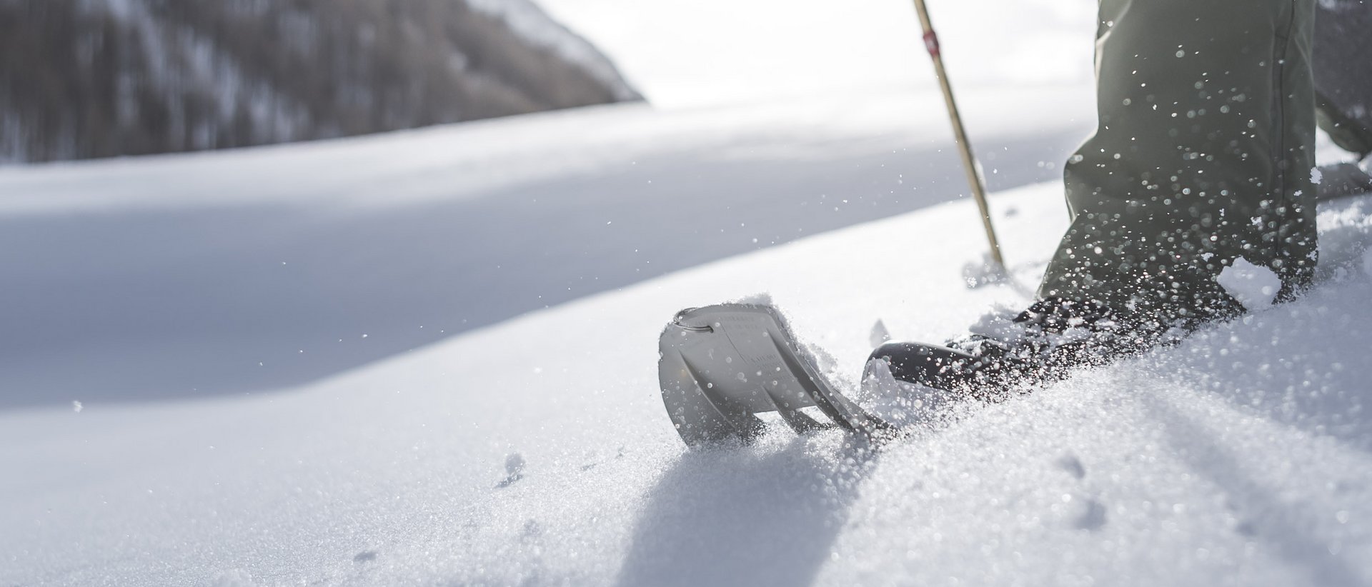 Aktivurlaub in Südtirol: ein Erlebnis Nahaufnahme von Skiern und Stöcken im frischen Schnee auf einem Berg