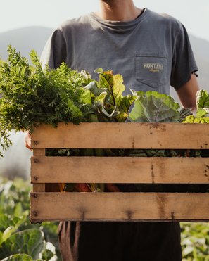 Atelier Moessmer Norbert Niederkofler Man holding wooden crate filled with fresh vegetables on farm