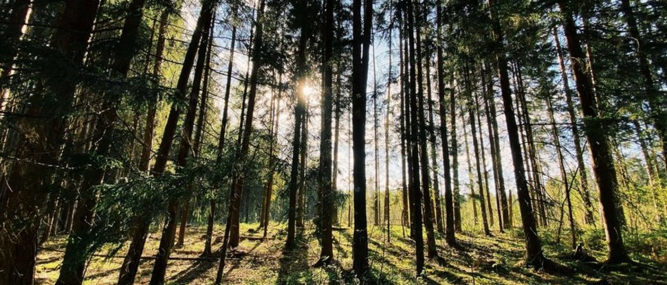 Ultime novità e storie da Valdaora Ultime novità e storie da Valdaora