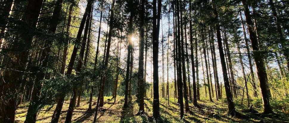 Ultime novità e storie da Valdaora Ultime novità e storie da Valdaora