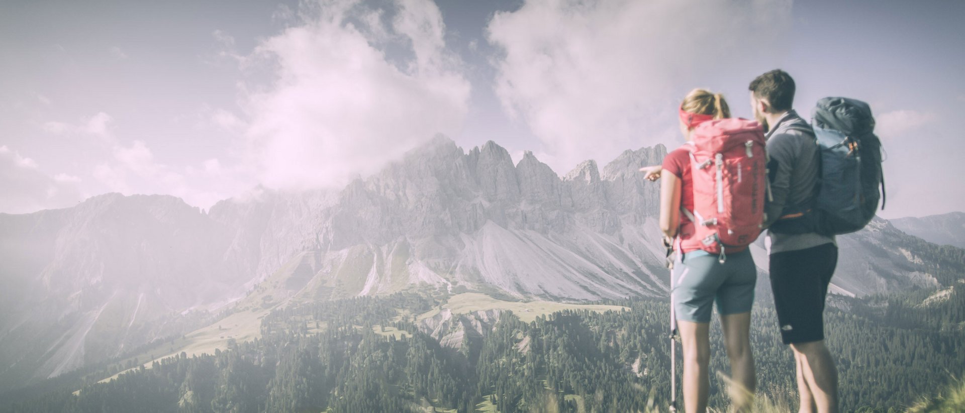 Una vacanza escursionistica da intenditori Escursionisti con zaini guardano montagne boschive sotto un cielo nuvoloso
